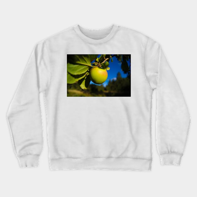 alb apple Crewneck Sweatshirt by pcfyi